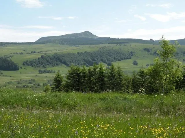 Les 1000 Fleurs * Saint-Front (Haute-Loire)